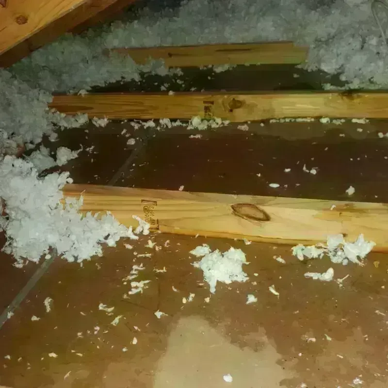 Attic Water Damage in Rockdale County, GA