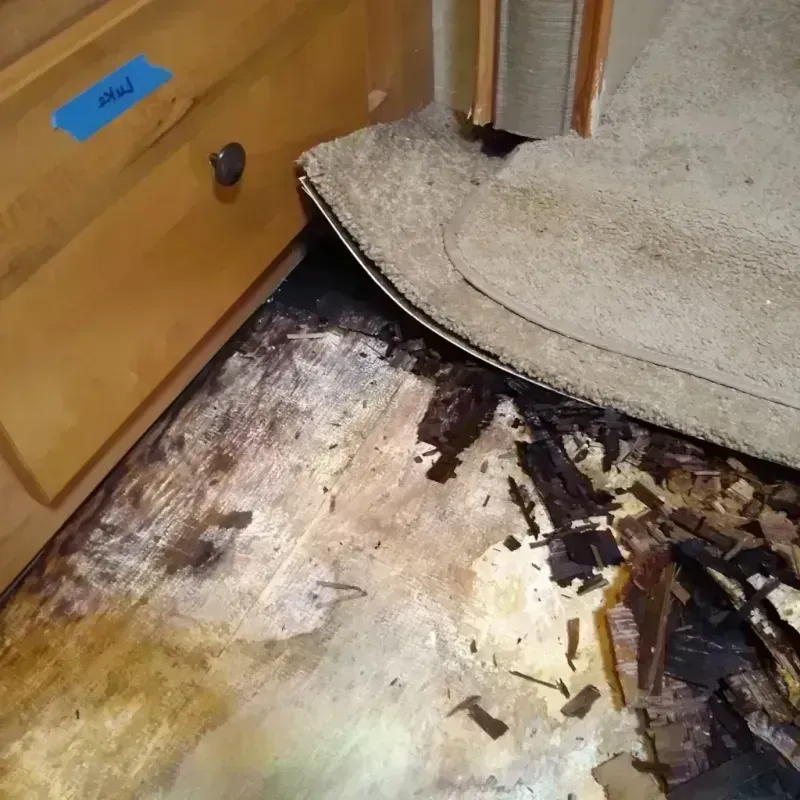 Wood Floor Water Damage in Rockdale County, GA